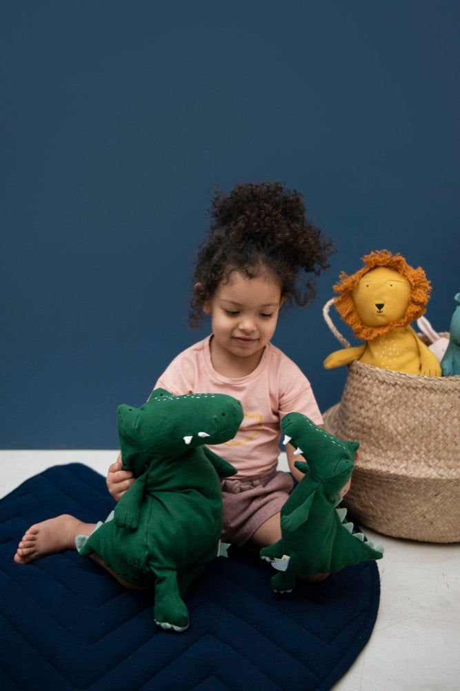 Plush toy small - Mr. Croccodile