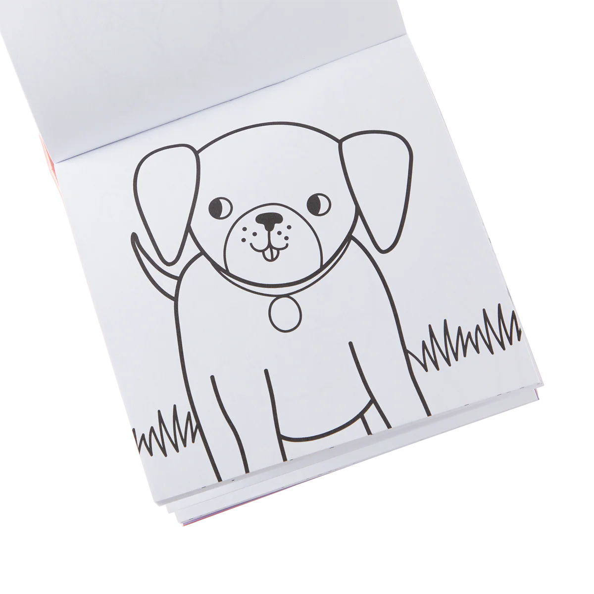 Carry Along! Coloring Book and Crayon Set - Pet Pals - Set of 9 Crayons
