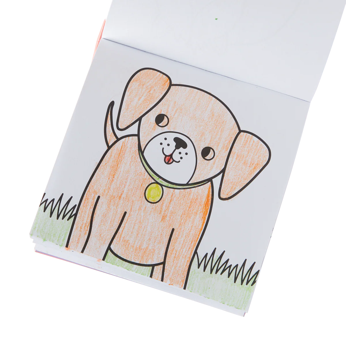Carry Along! Coloring Book and Crayon Set - Pet Pals - Set of 9 Crayons