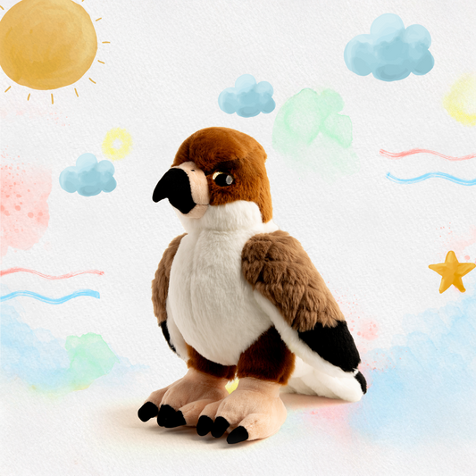 Jarrah